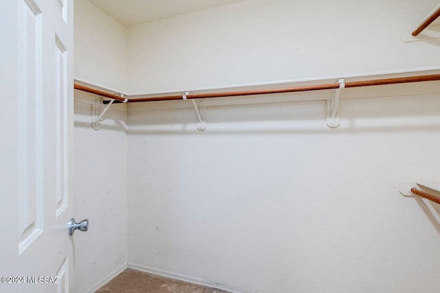 walk in closet featuring carpet floors