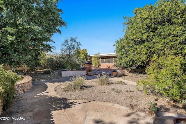 view of yard featuring a patio