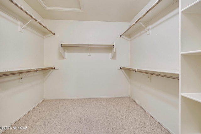 spacious closet featuring light colored carpet