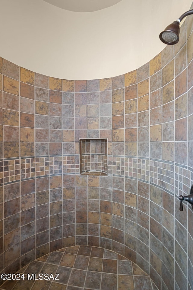 206 Circulo Veranera, Tubac, AZ 85646 - bathroom featuring a tile shower