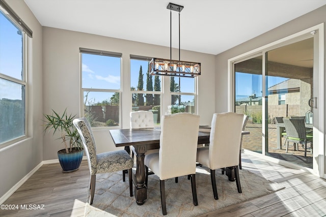 dining area with hardwood / wood-style floors