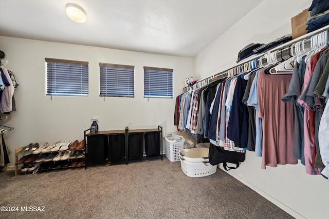 spacious closet with carpet flooring