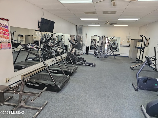 exercise room with ceiling fan and a paneled ceiling