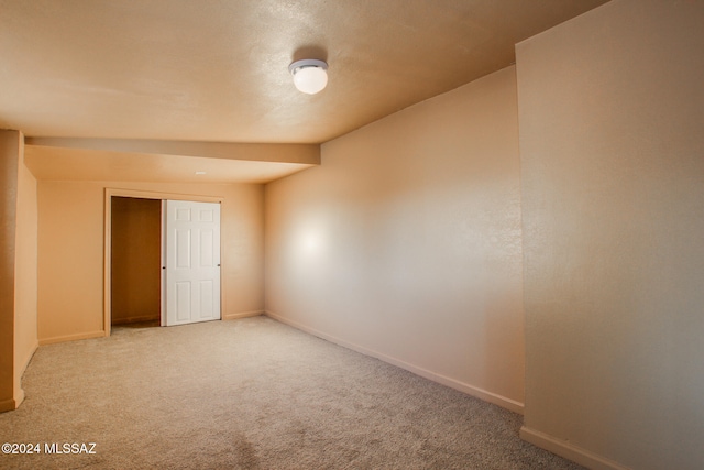 interior space with carpet flooring and a closet