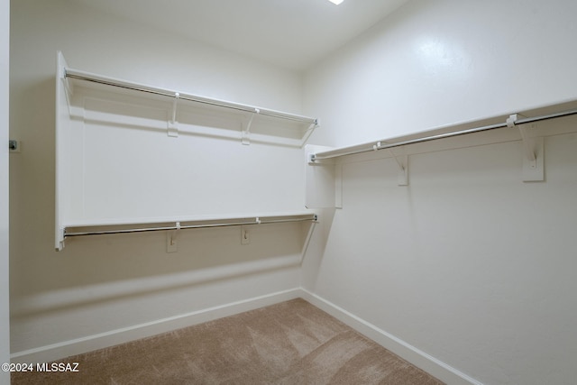 walk in closet with carpet floors