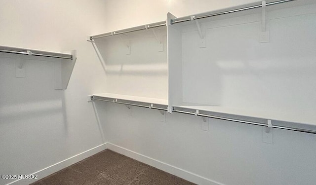 spacious closet with dark colored carpet