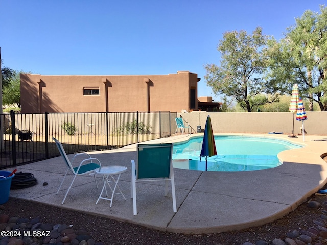 view of pool with a patio area