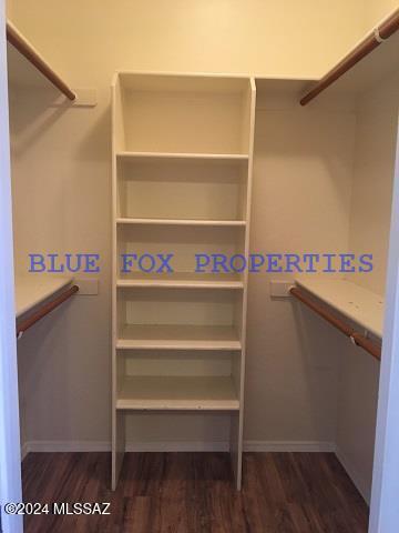 walk in closet with dark wood-type flooring