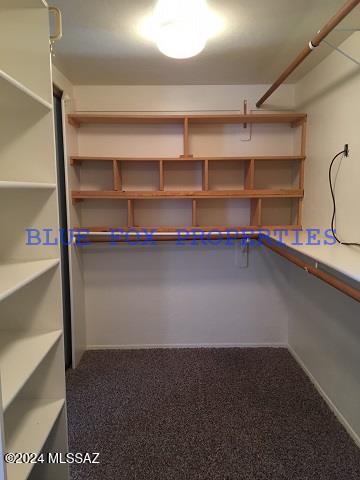 spacious closet with carpet floors