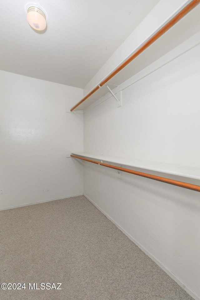 spacious closet featuring carpet