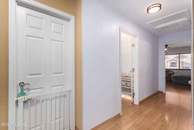 hall featuring light hardwood / wood-style flooring