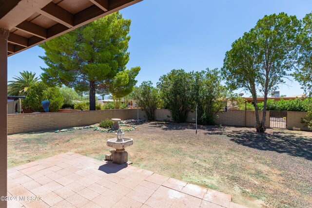 view of yard with a patio