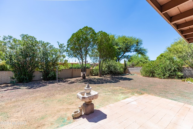 view of yard with a patio area