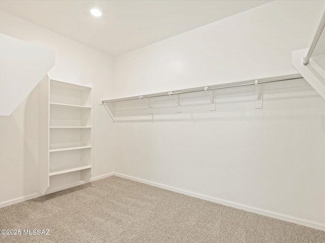 walk in closet featuring carpet flooring