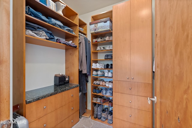 spacious closet with light carpet