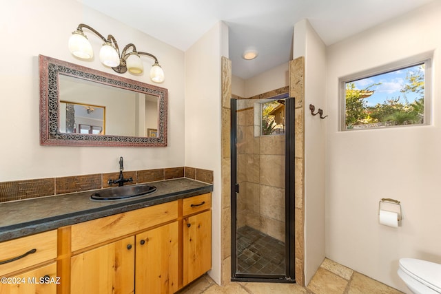 bathroom with vanity, toilet, and an enclosed shower