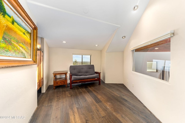 living area featuring lofted ceiling and dark wood-type flooring