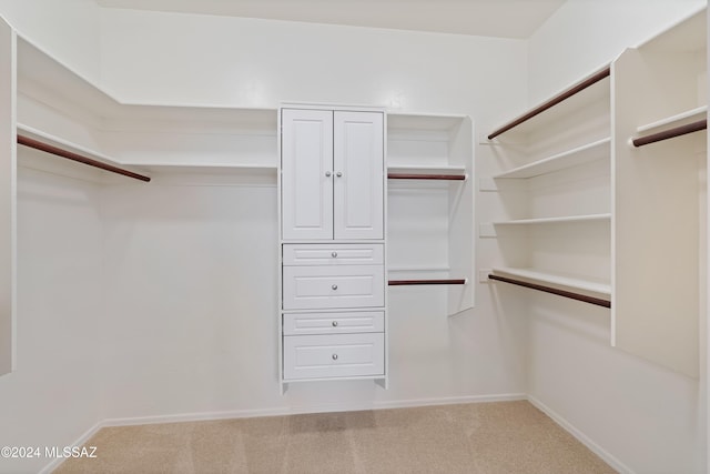 spacious closet featuring light carpet