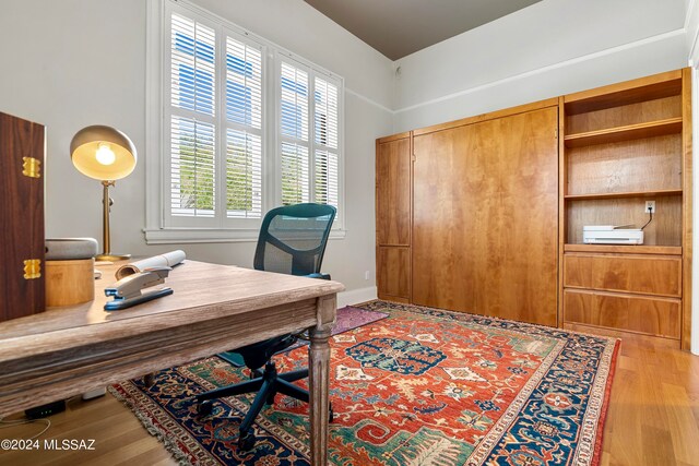 office area featuring hardwood / wood-style floors