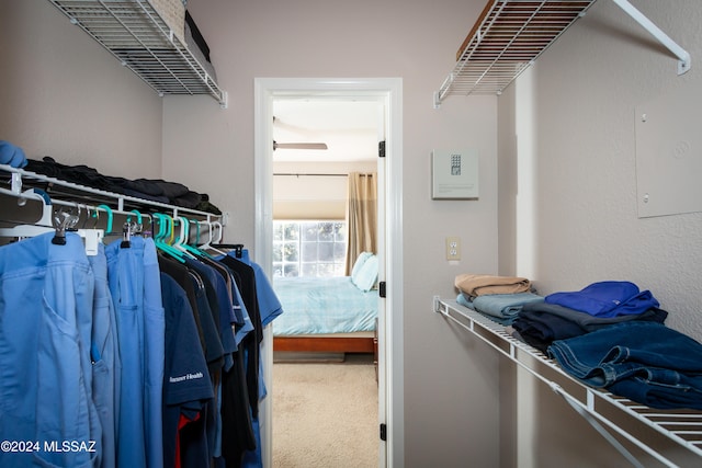 view of spacious closet