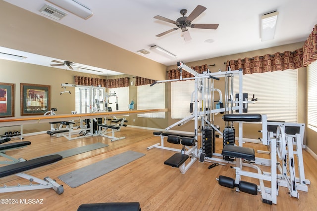 exercise area featuring hardwood / wood-style flooring and ceiling fan