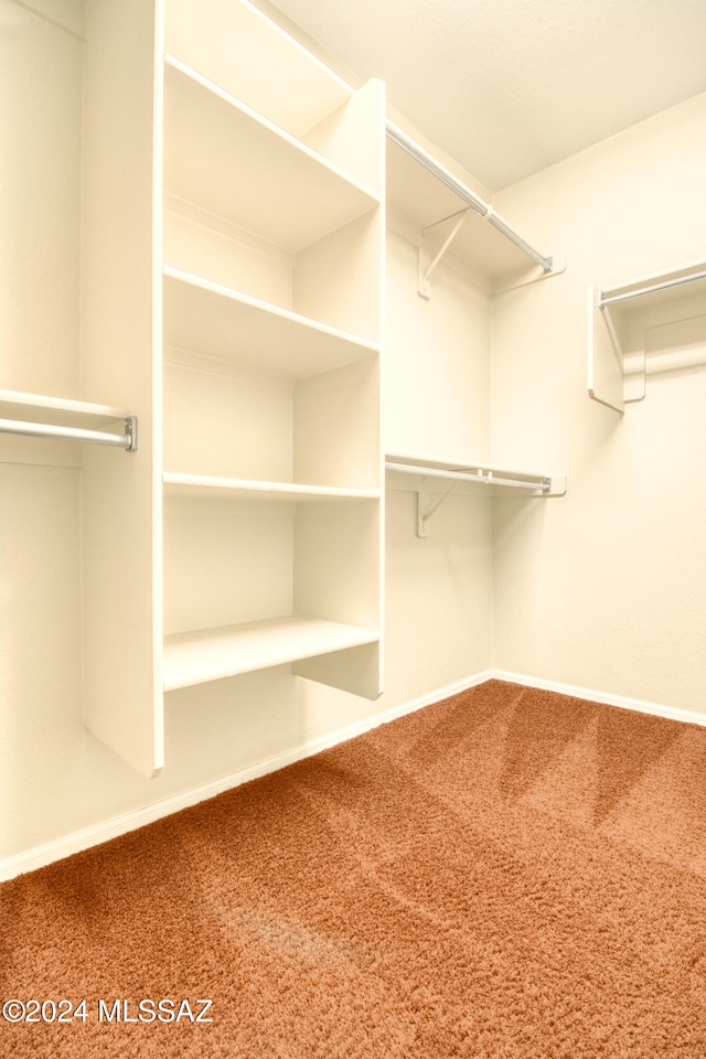 walk in closet with carpet