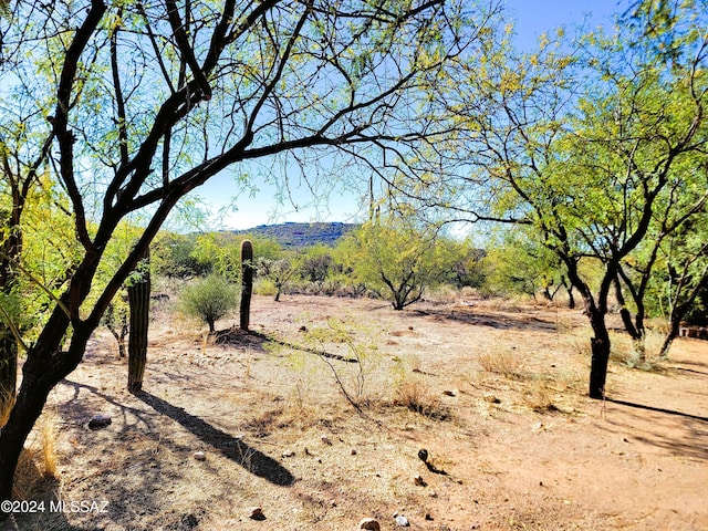 view of landscape