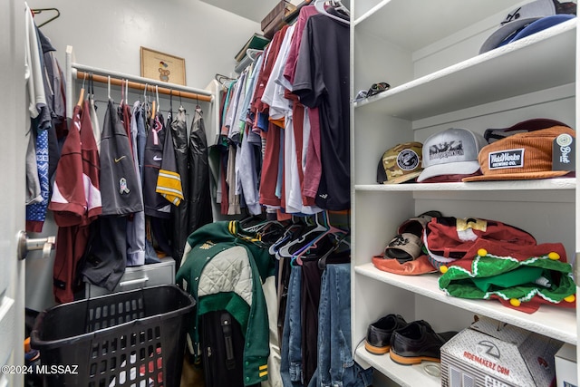 13696 E Aviara Pl, Vail, AZ 85641 - view of spacious closet