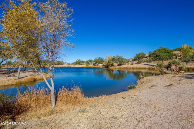13696 E Aviara Pl, Vail, AZ 85641 - water view