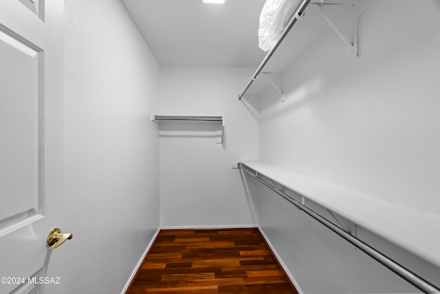 spacious closet with dark hardwood / wood-style flooring