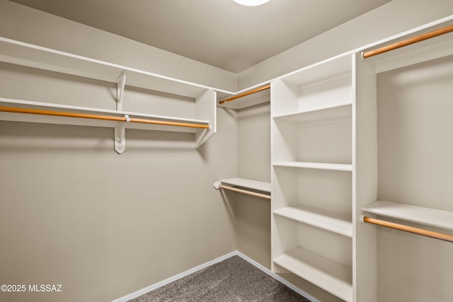 spacious closet with carpet flooring