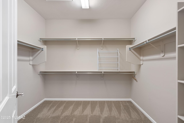 60241 E Arroyo Grande Dr, Oracle, AZ 85623 - walk in closet featuring carpet floors