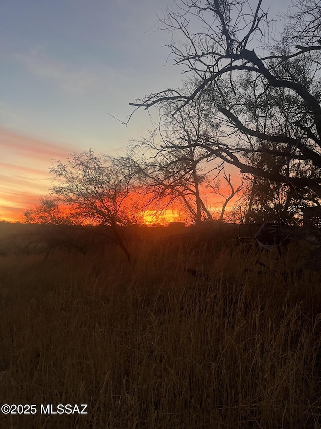 view of nature at dusk