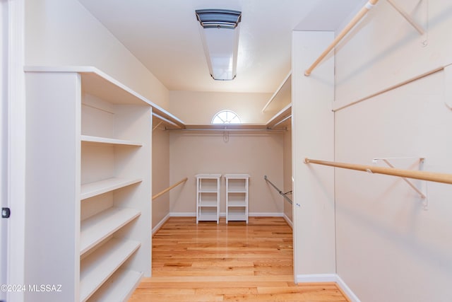 spacious closet featuring wood-type flooring