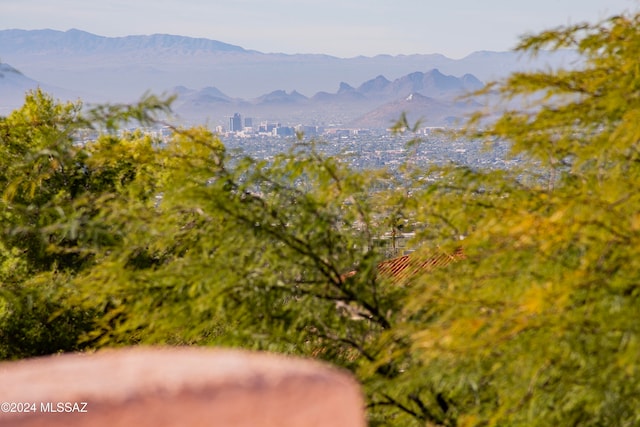 property view of mountains