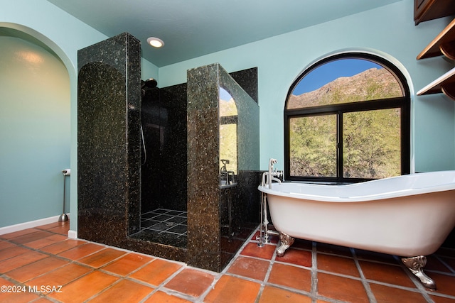 bathroom with separate shower and tub and tile patterned floors