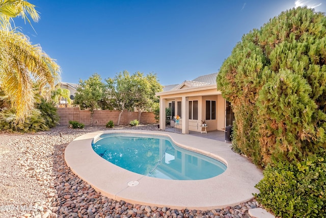 view of pool with a fenced in pool, a patio area, and a fenced backyard