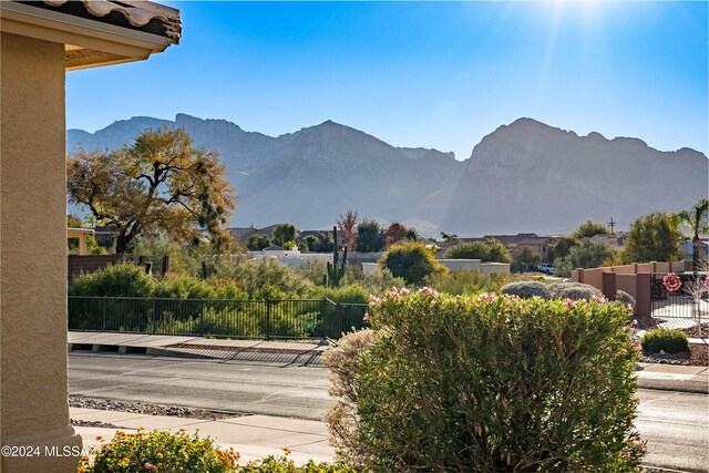 view of yard with a mountain view and a garage