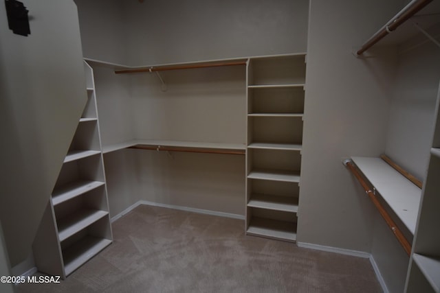 spacious closet with light colored carpet