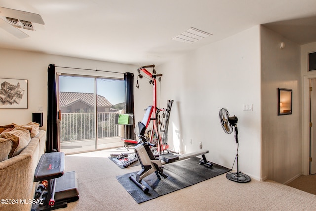 workout area with carpet floors