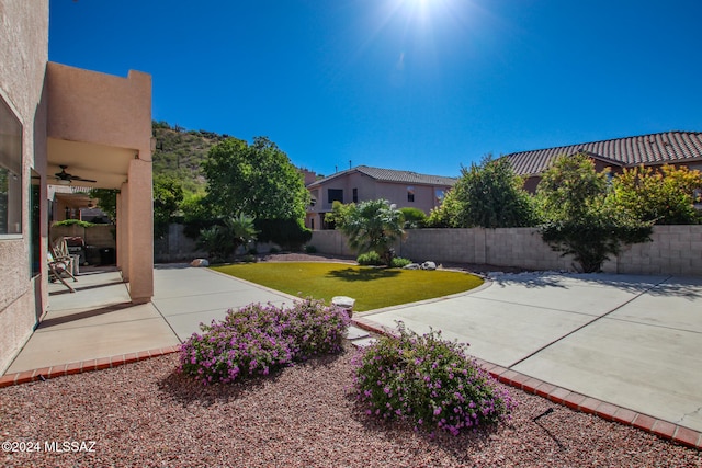 view of yard featuring a patio area and ceiling fan