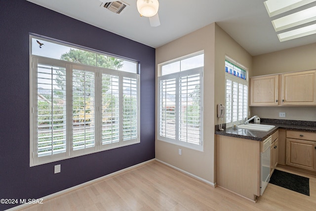 kitchen with plenty of natural light, light hardwood / wood-style floors, and sink