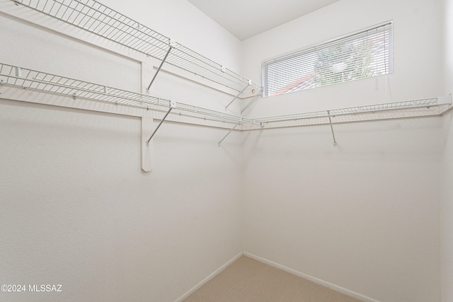 walk in closet featuring carpet floors