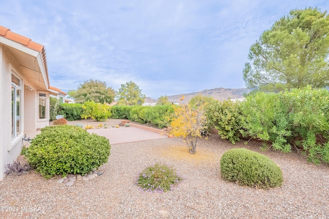 view of yard featuring a mountain view and a patio