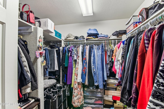 view of walk in closet