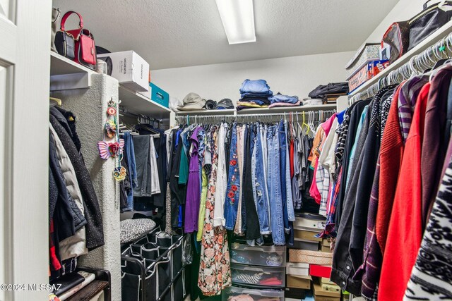3457 N Crystal Hill Ave, Tucson, AZ 85745 - view of walk in closet