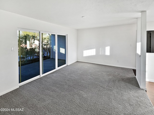 spare room with carpet floors