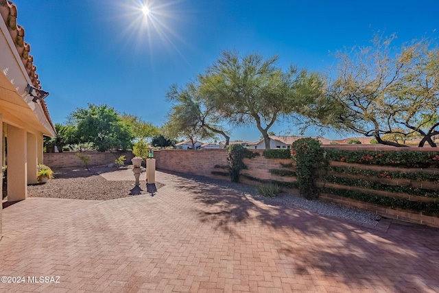 view of yard featuring a patio area