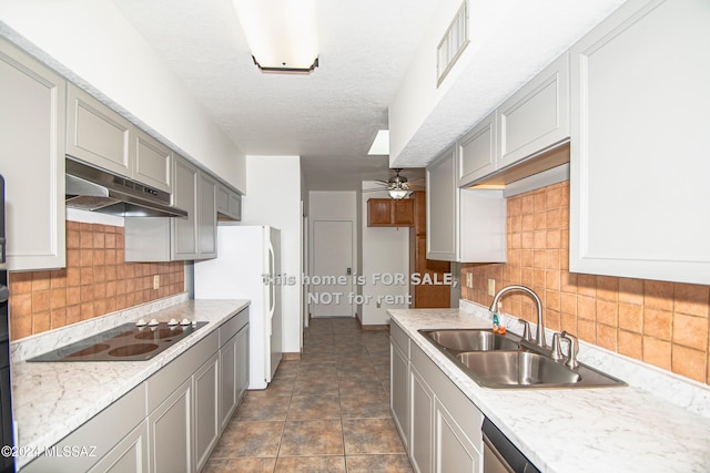 kitchen featuring black electric cooktop, gray cabinetry, under cabinet range hood, a sink, and freestanding refrigerator