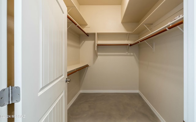 spacious closet with carpet